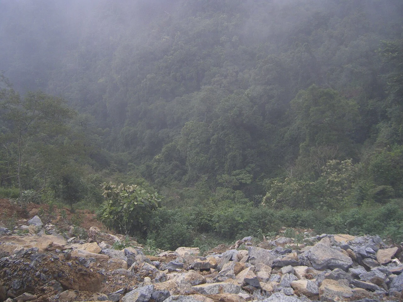 Photo of San Bartolo