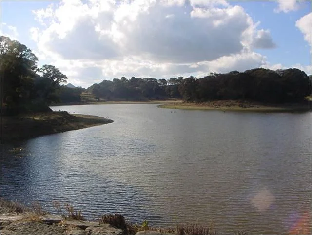 Photo of San Bartolo Morelos