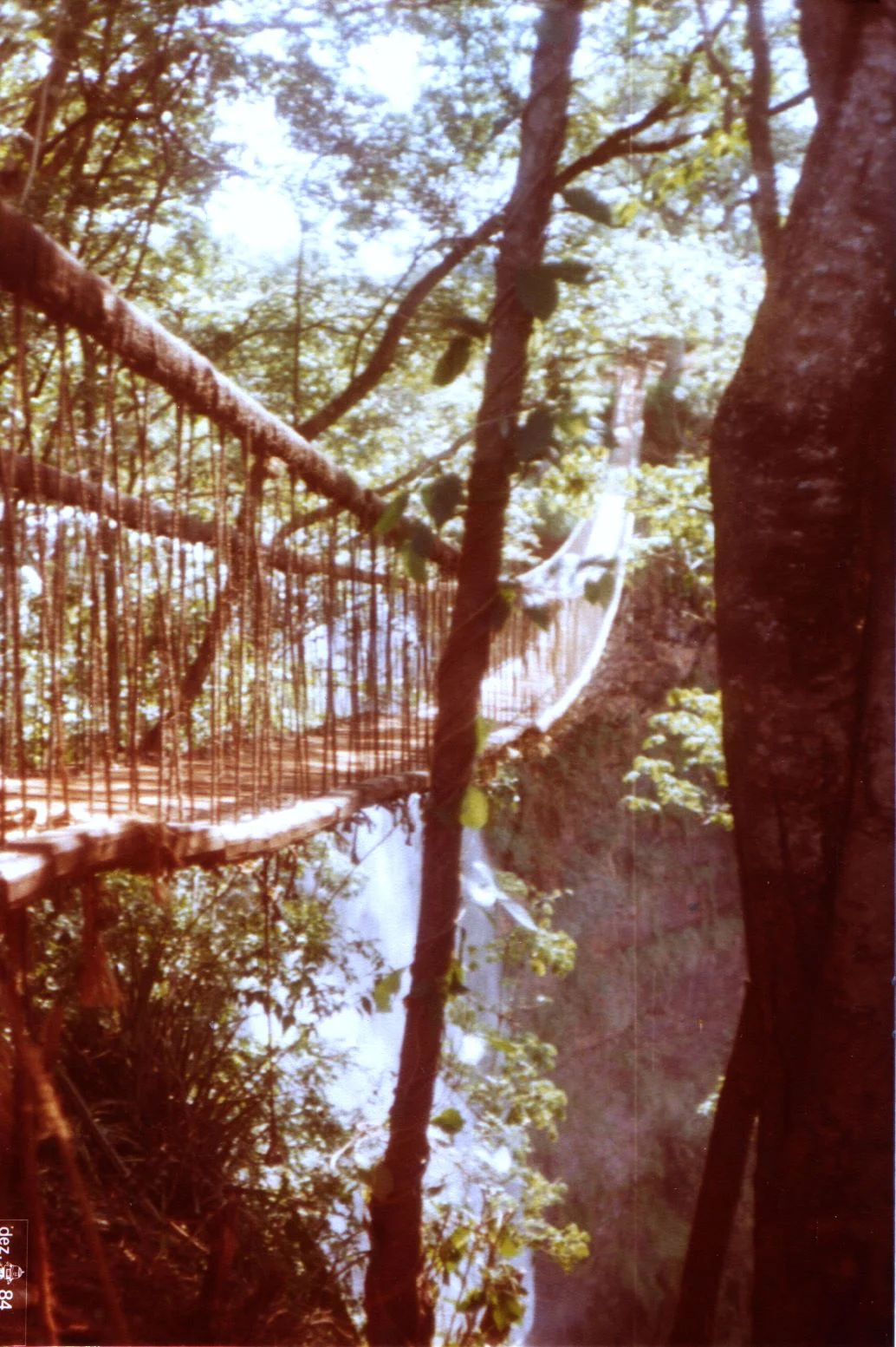 Photo of San Donato di Ninea