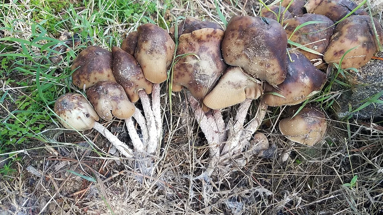 Photo of San Esteban Atatlahuca