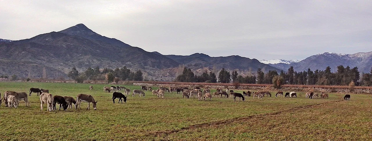 Photo of San Esteban