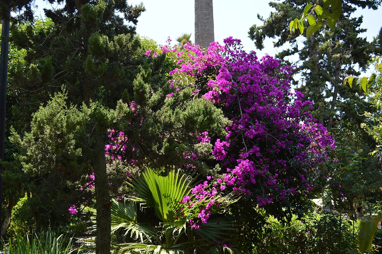 Photo of San Felipe del Progreso