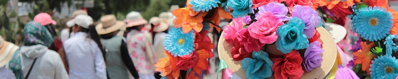 Photo of San Felipe del Progreso