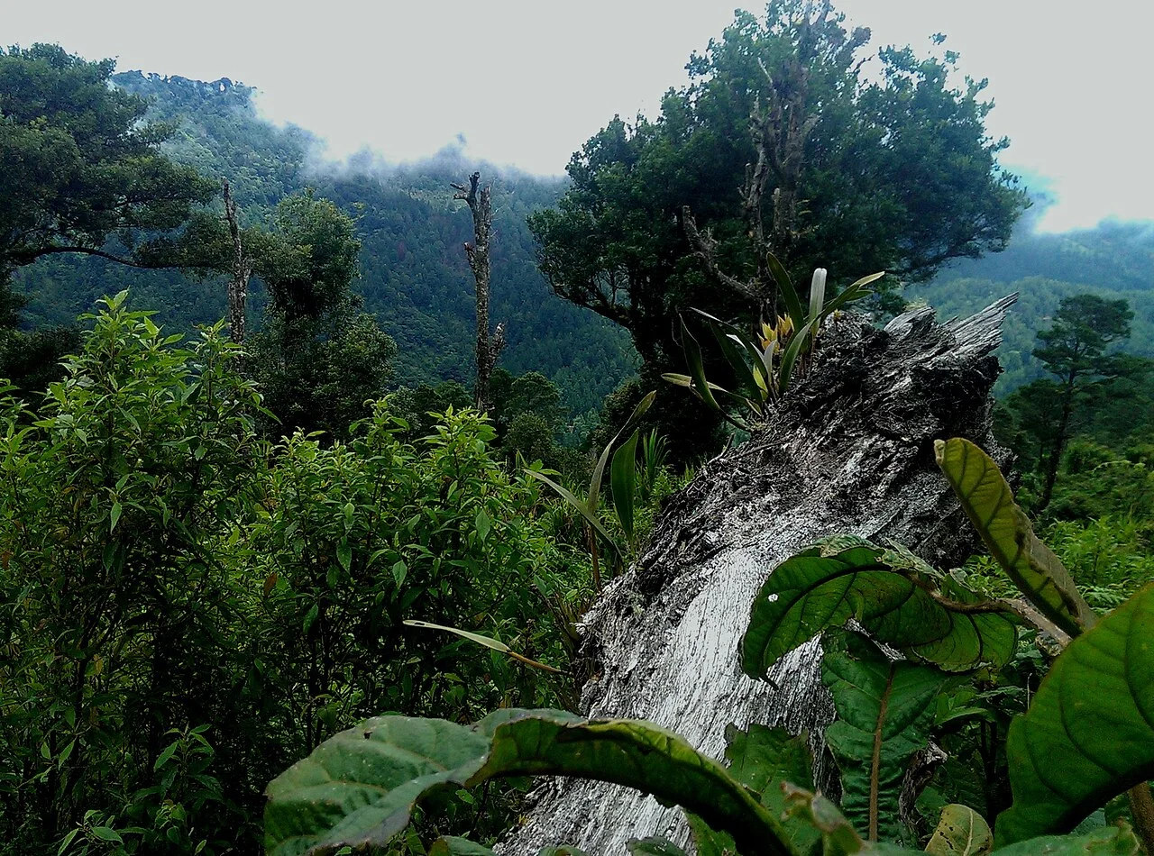 Photo of San Fernando