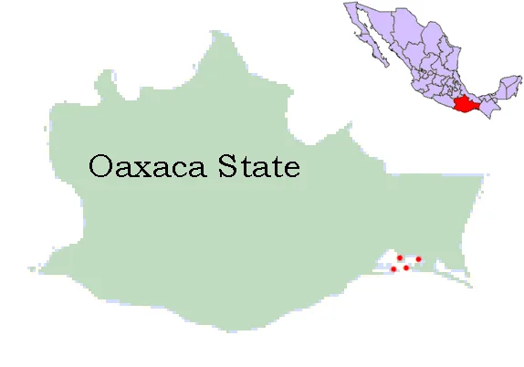 Photo of San Francisco del Mar