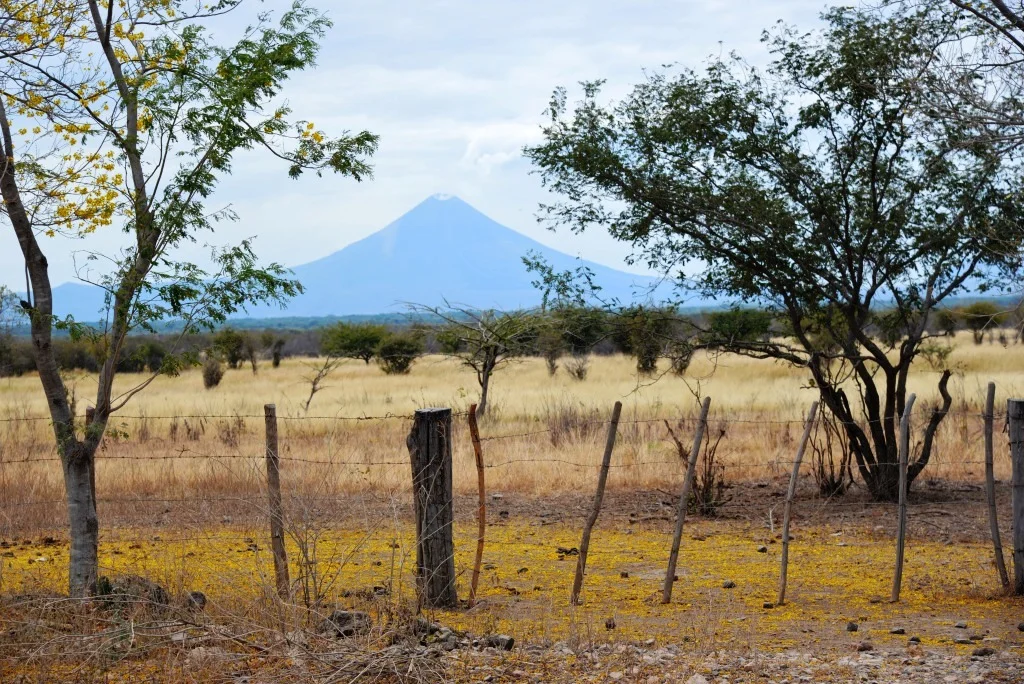 Photo of San Francisco Libre