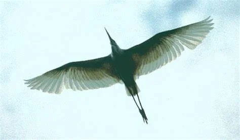 Photo of San Genesio ed Uniti