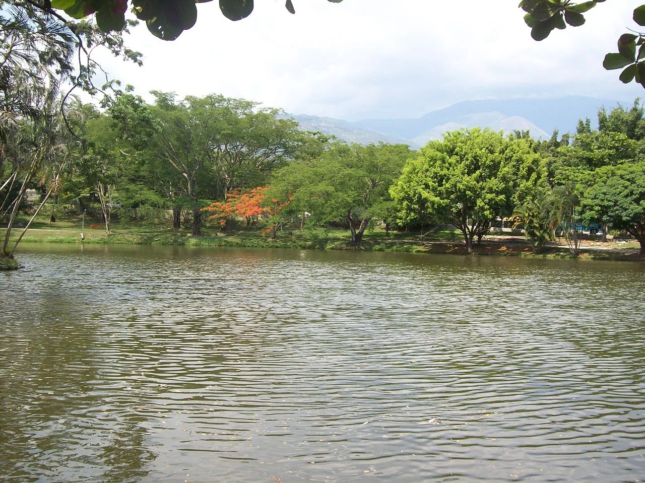 Photo of San Jerónimo