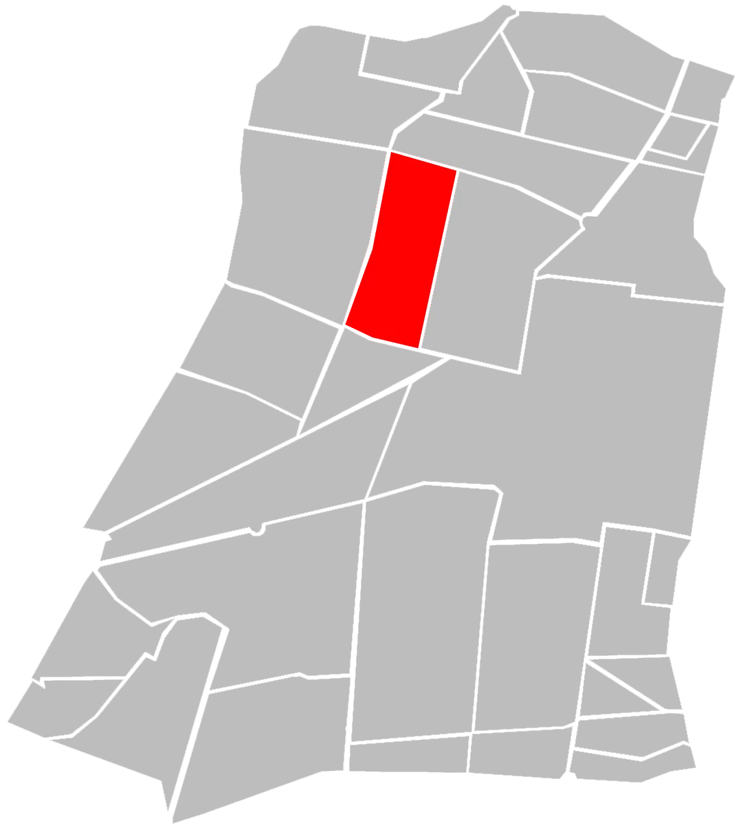 Photo of San José Buenavista