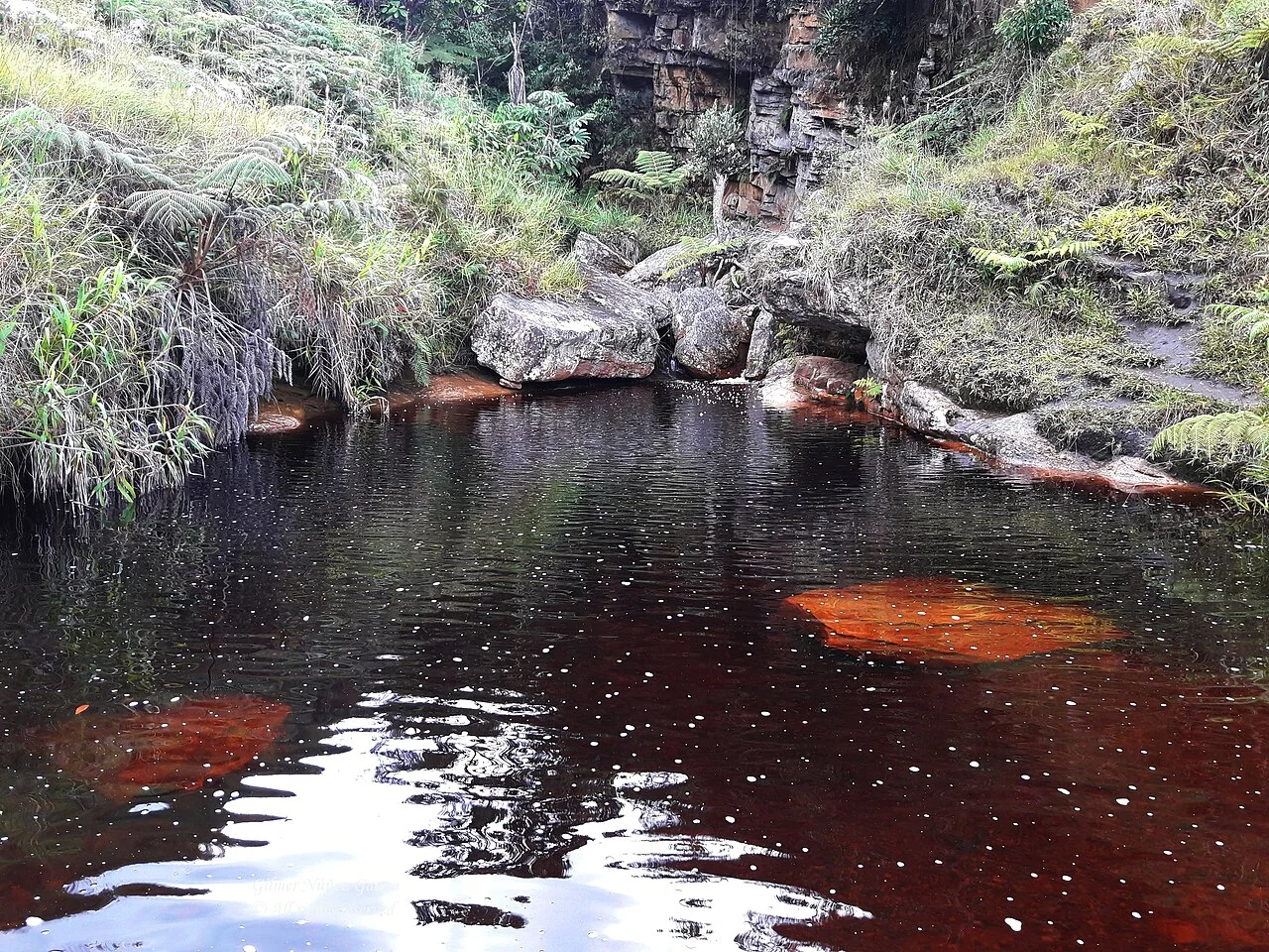 Photo of San José de Lourdes