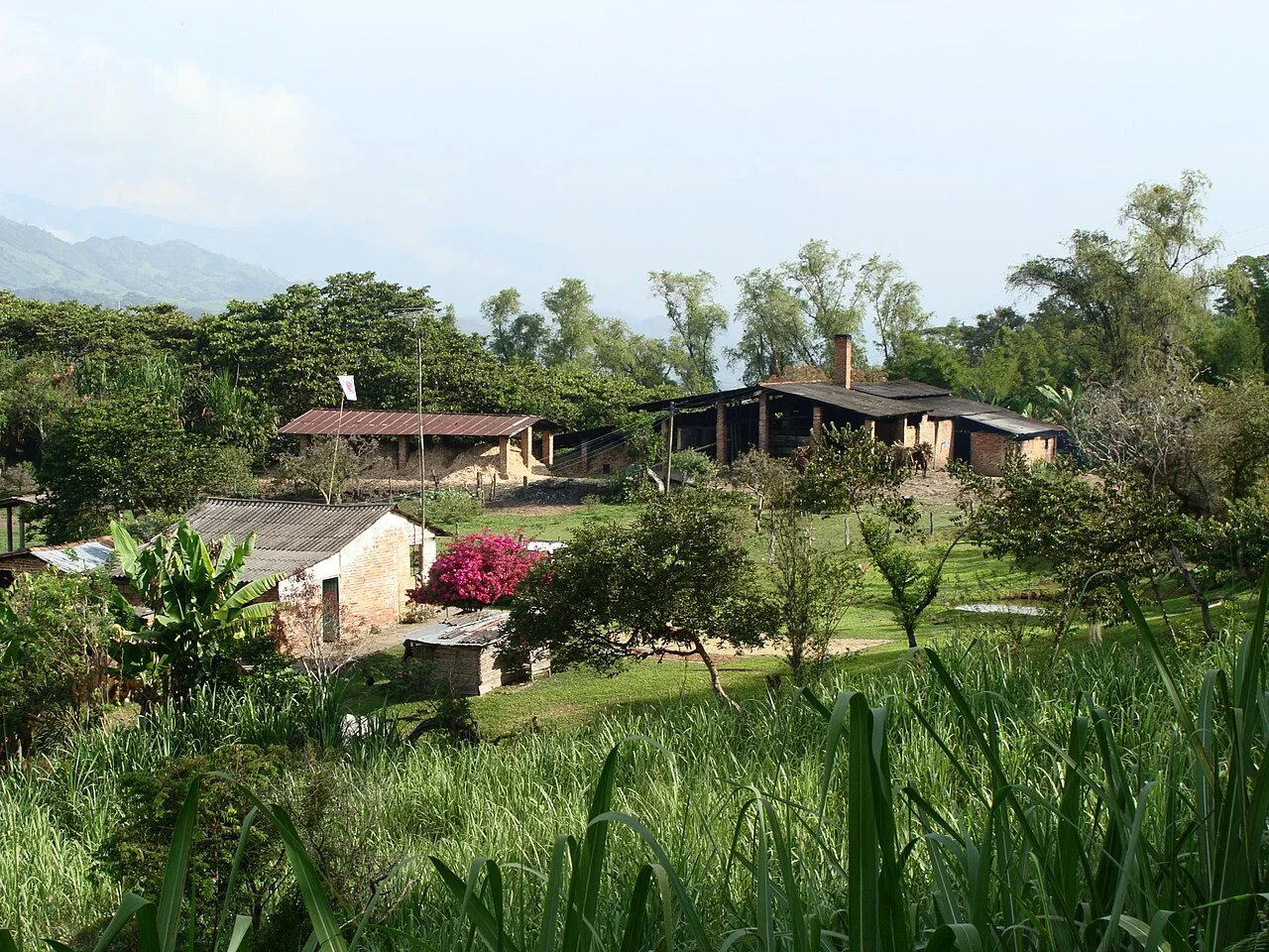 Photo of San José de Pare