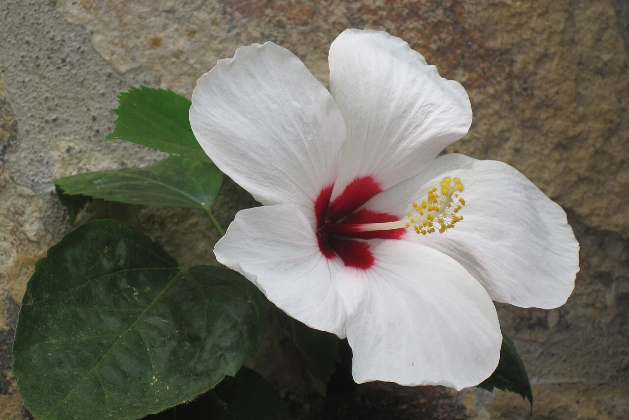 Photo of San Juan de Oriente