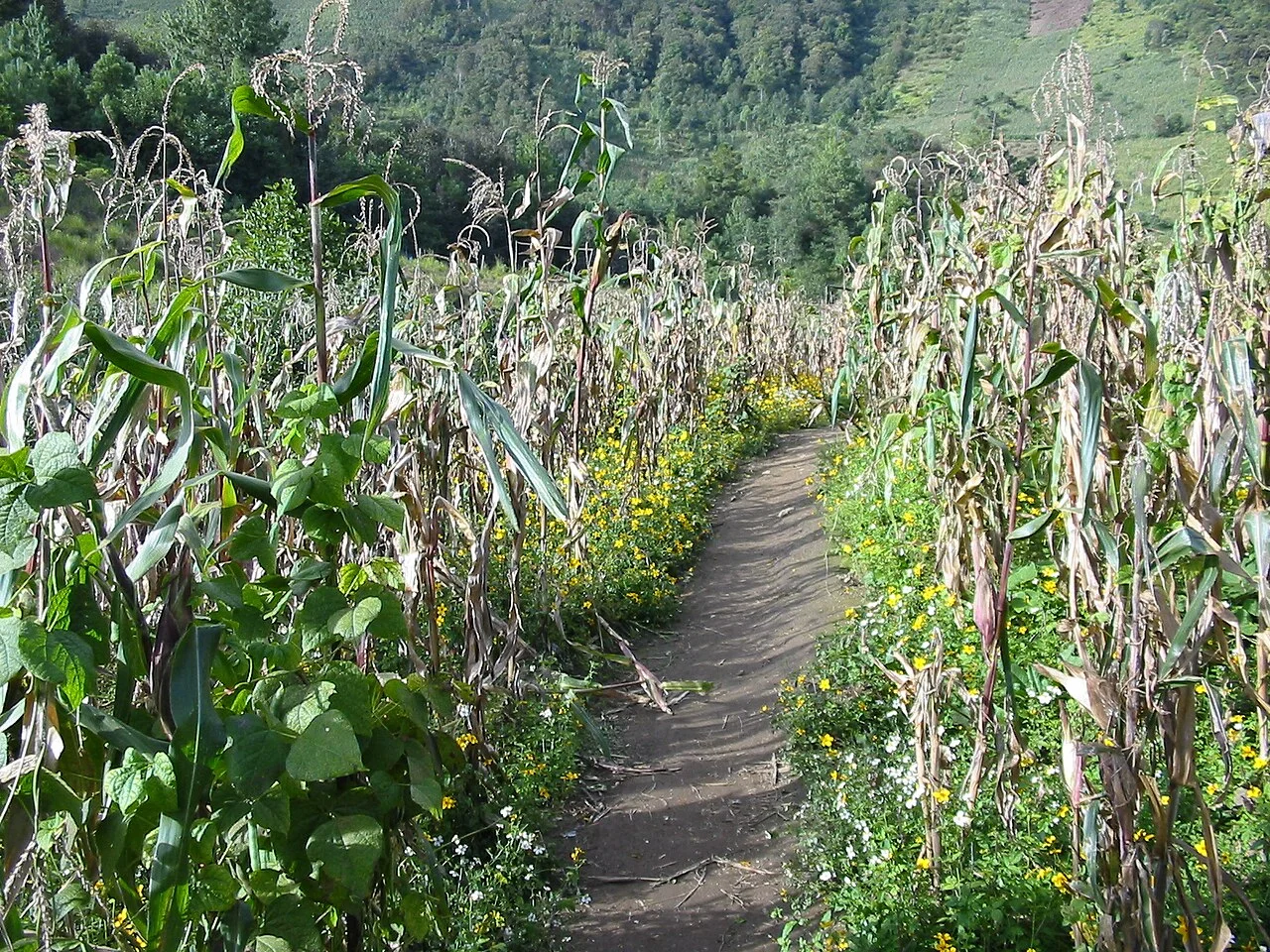 Photo of San Juan Ixcoy