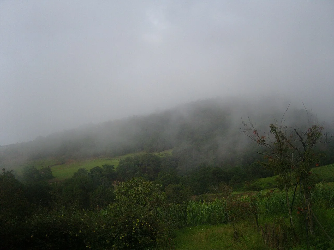 Photo of San Juan Mixtepec