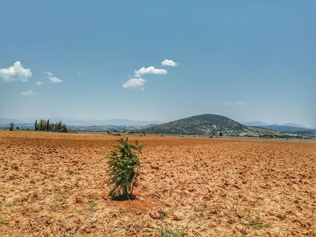 Photo of San Juan Yucuita