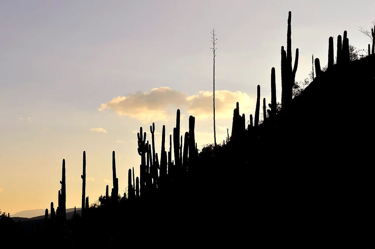 Photo of San Lorenzo Albarradas