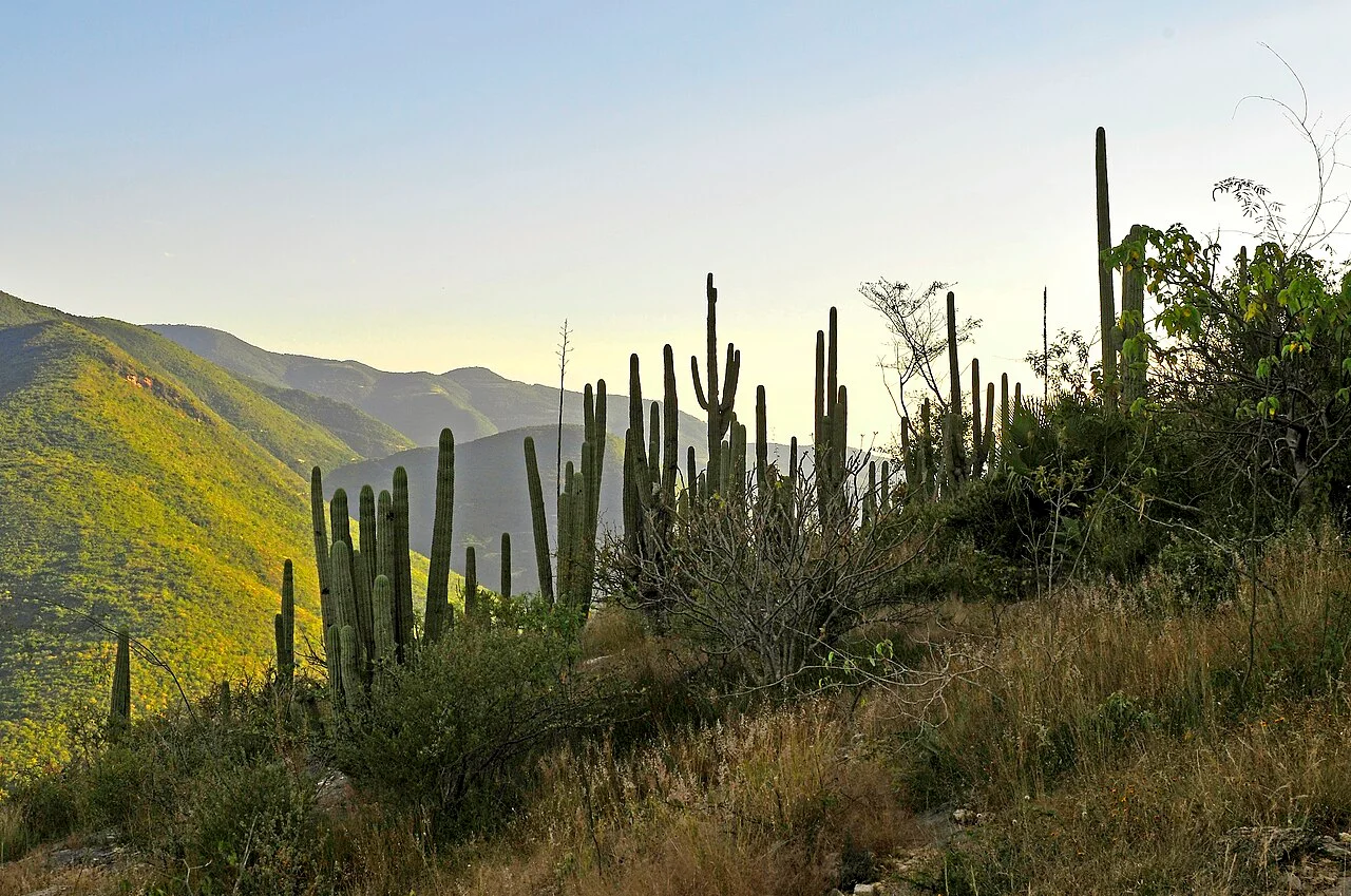Photo of San Lorenzo Albarradas