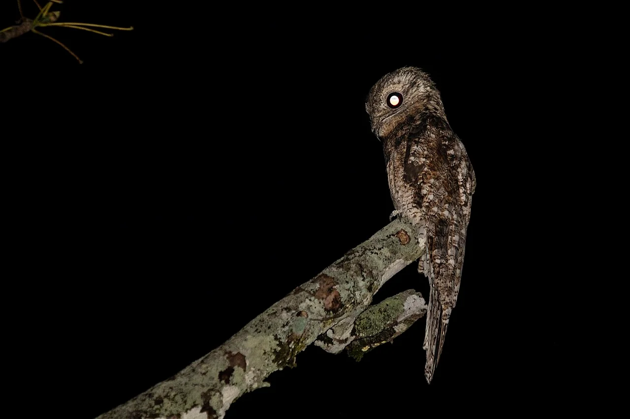 Photo of San Luis de Palenque