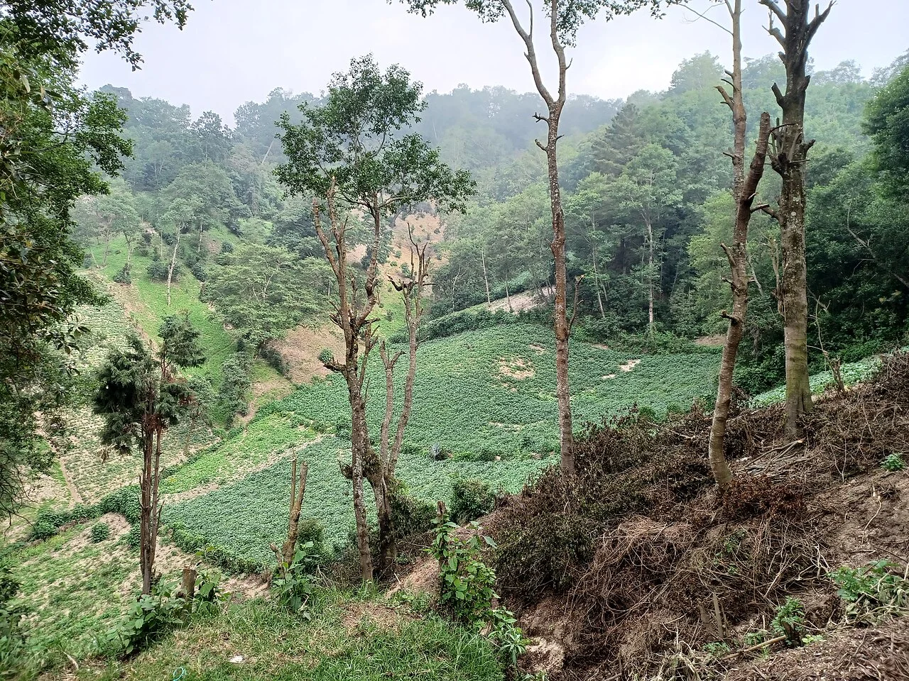 Photo of San Martín Sacatepéquez