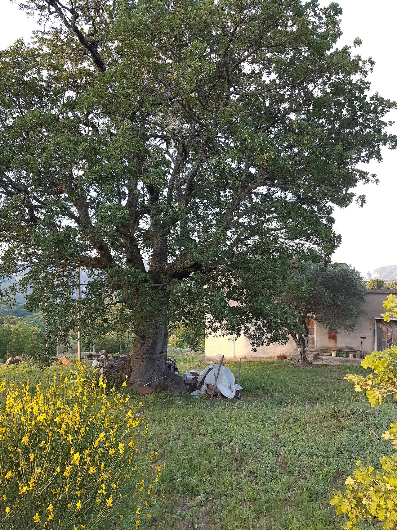 Photo of San Martino d'Agri