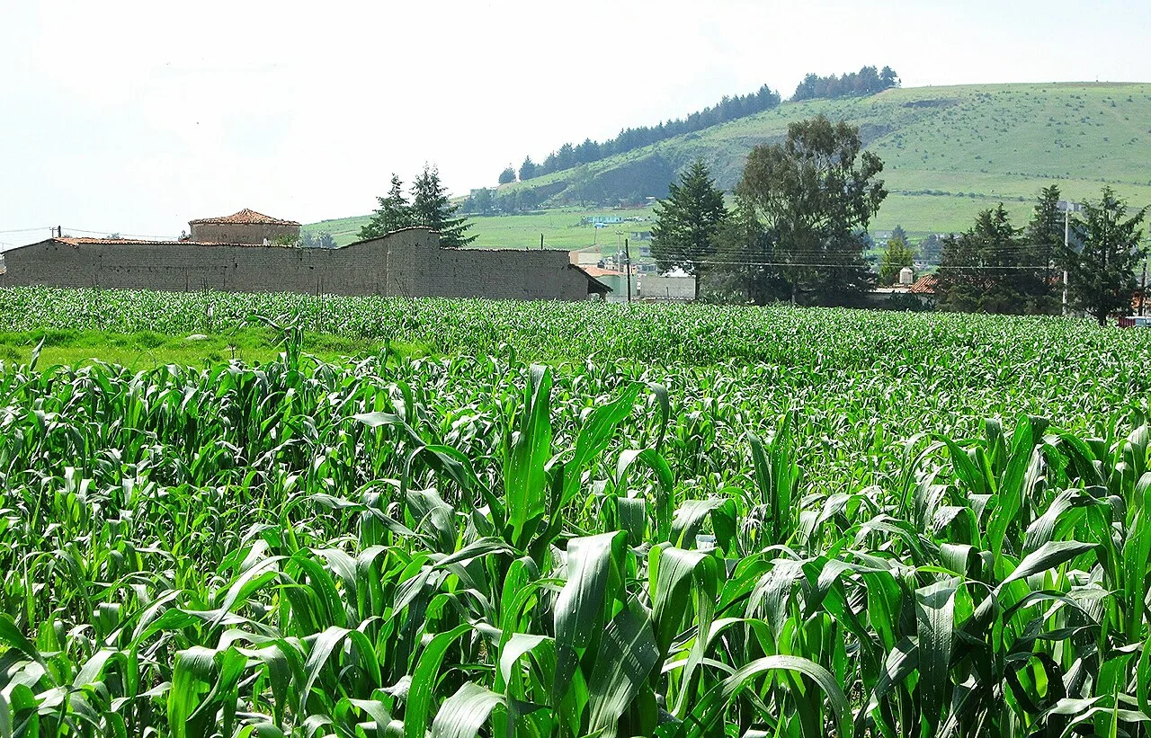 Photo of San Pablo Autopan