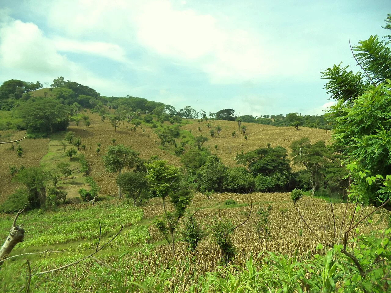 Photo of San Pablo Tacachico