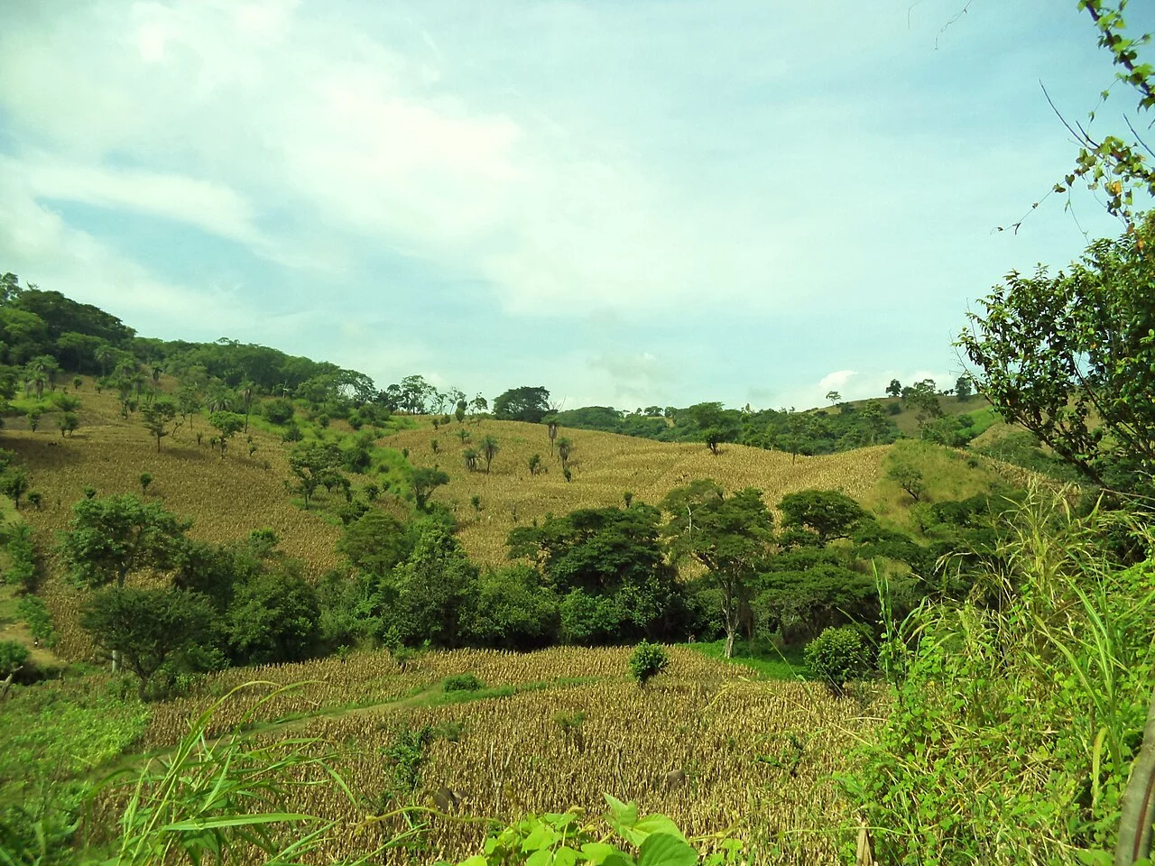 Photo of San Pablo Tacachico