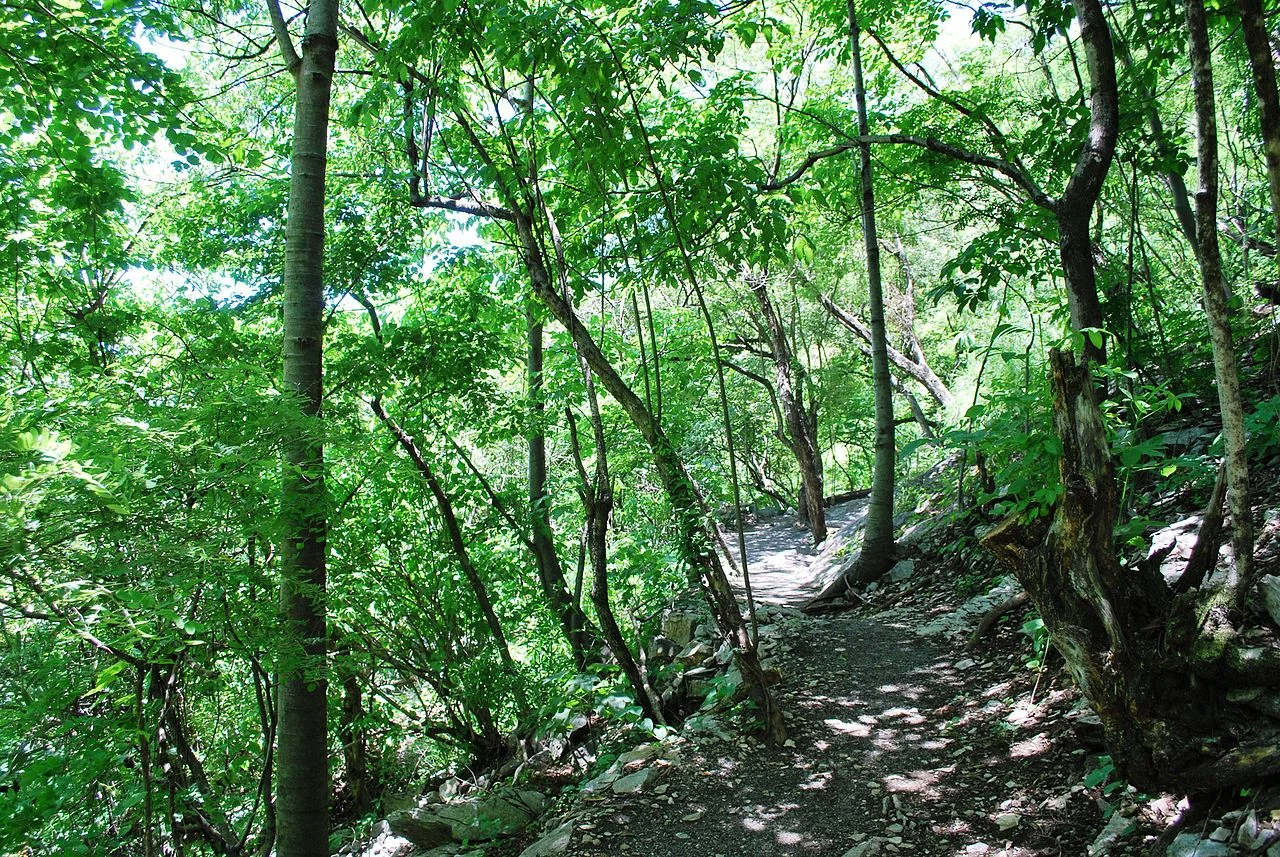 Photo of San Pedro Zictepec