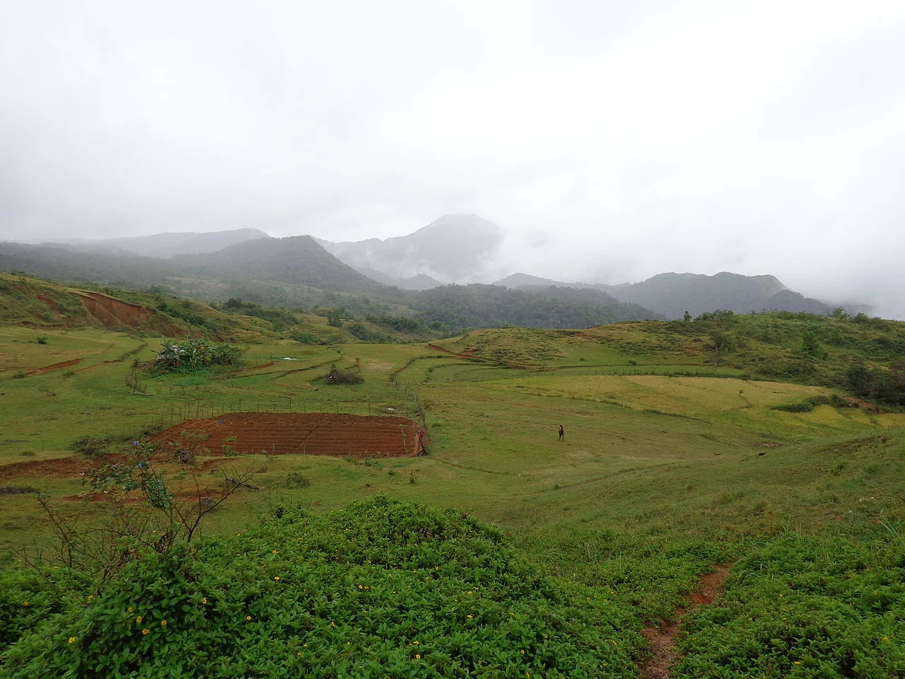 Photo of San Remigio