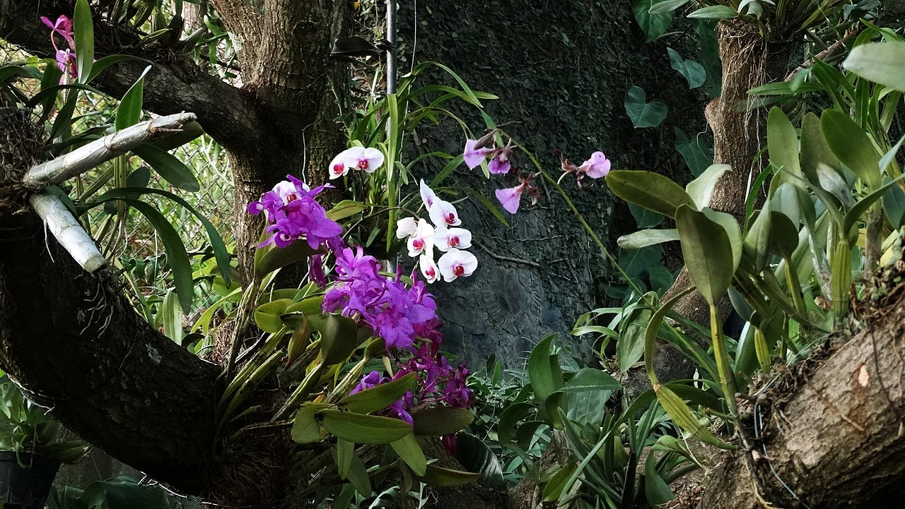 Photo of San Sebastián