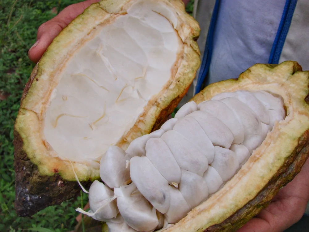 Photo of San Vicente de Chucurí