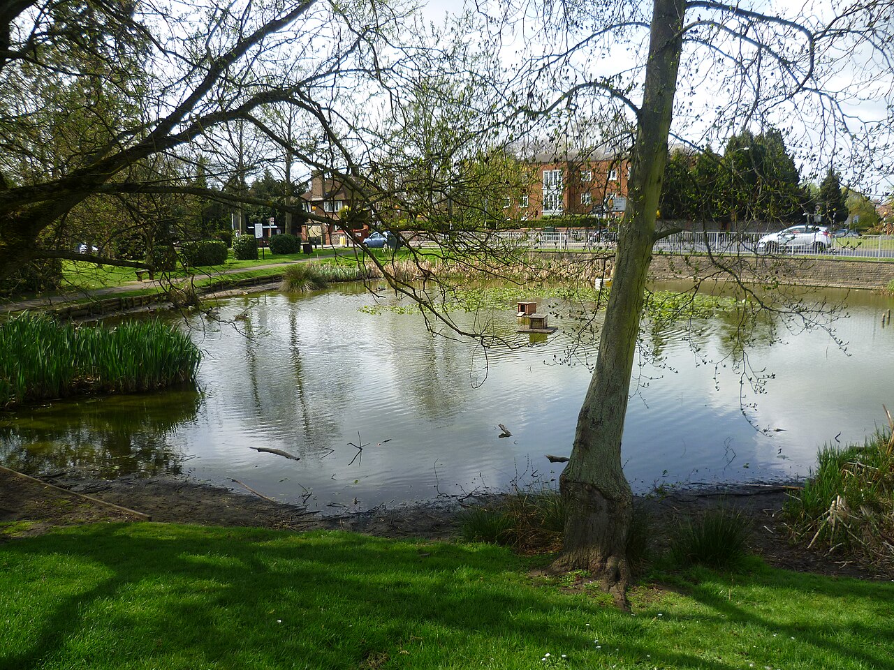 Sanderstead Pond