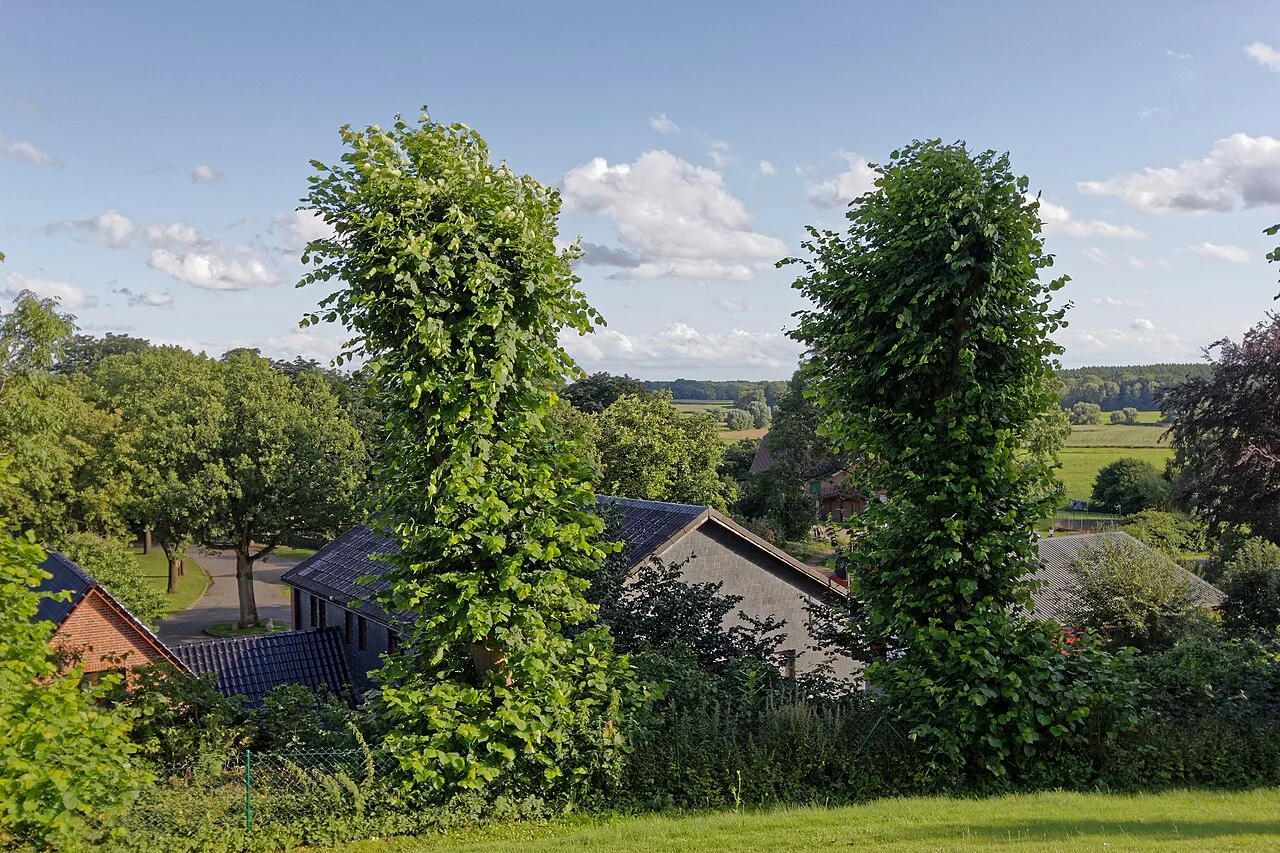 Photo of Sandesneben