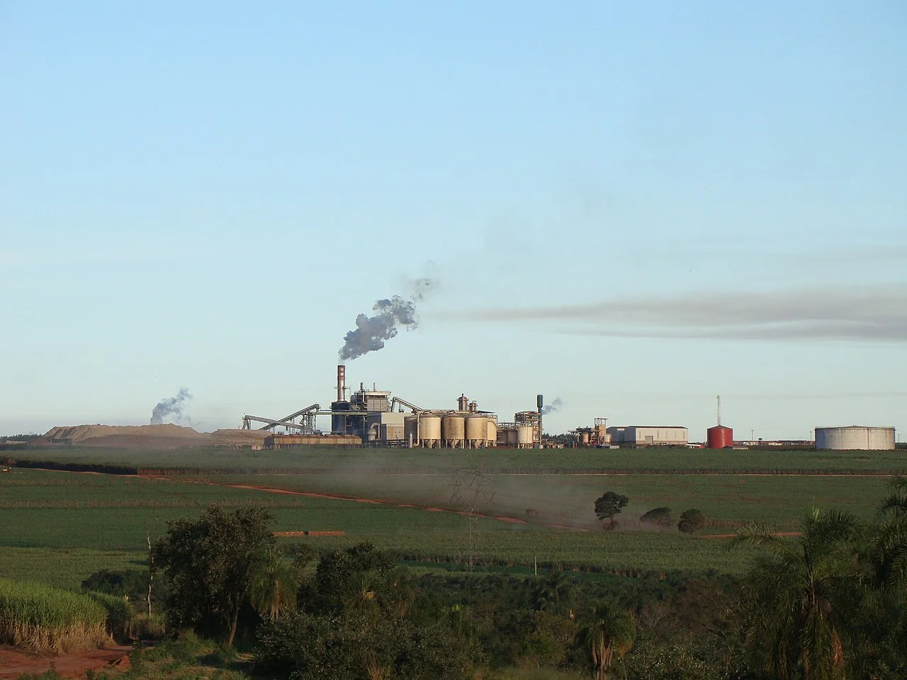 Photo of Sandovalina