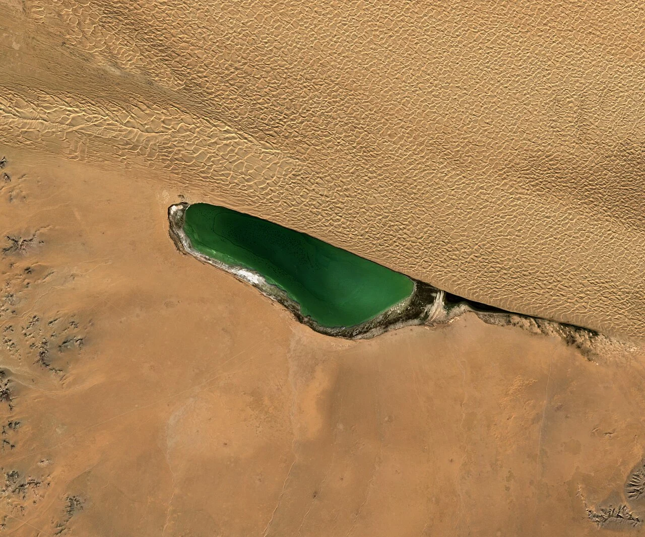 Photo of Sangiyn Dalay