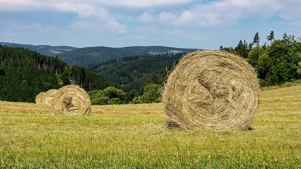Photo of Sankt Georgen im Schwarzwald