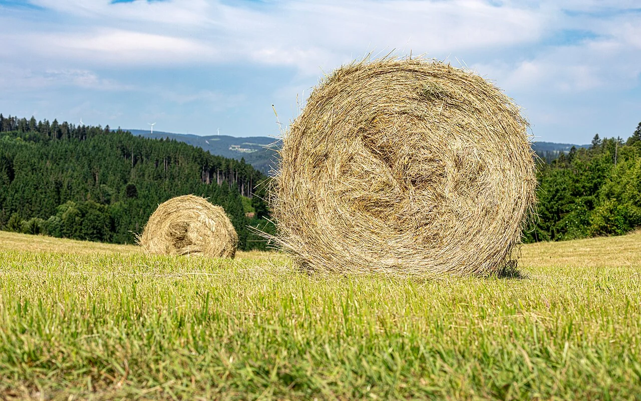 Photo of Sankt Georgen im Schwarzwald