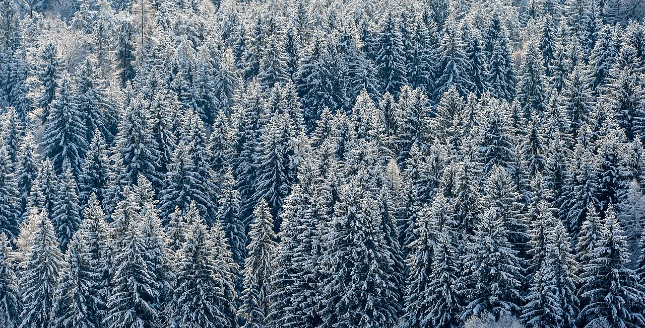 Photo of Sankt Martin