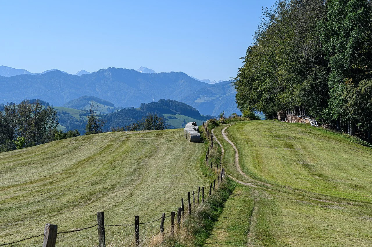Photo of Sankt Ulrich bei Steyr