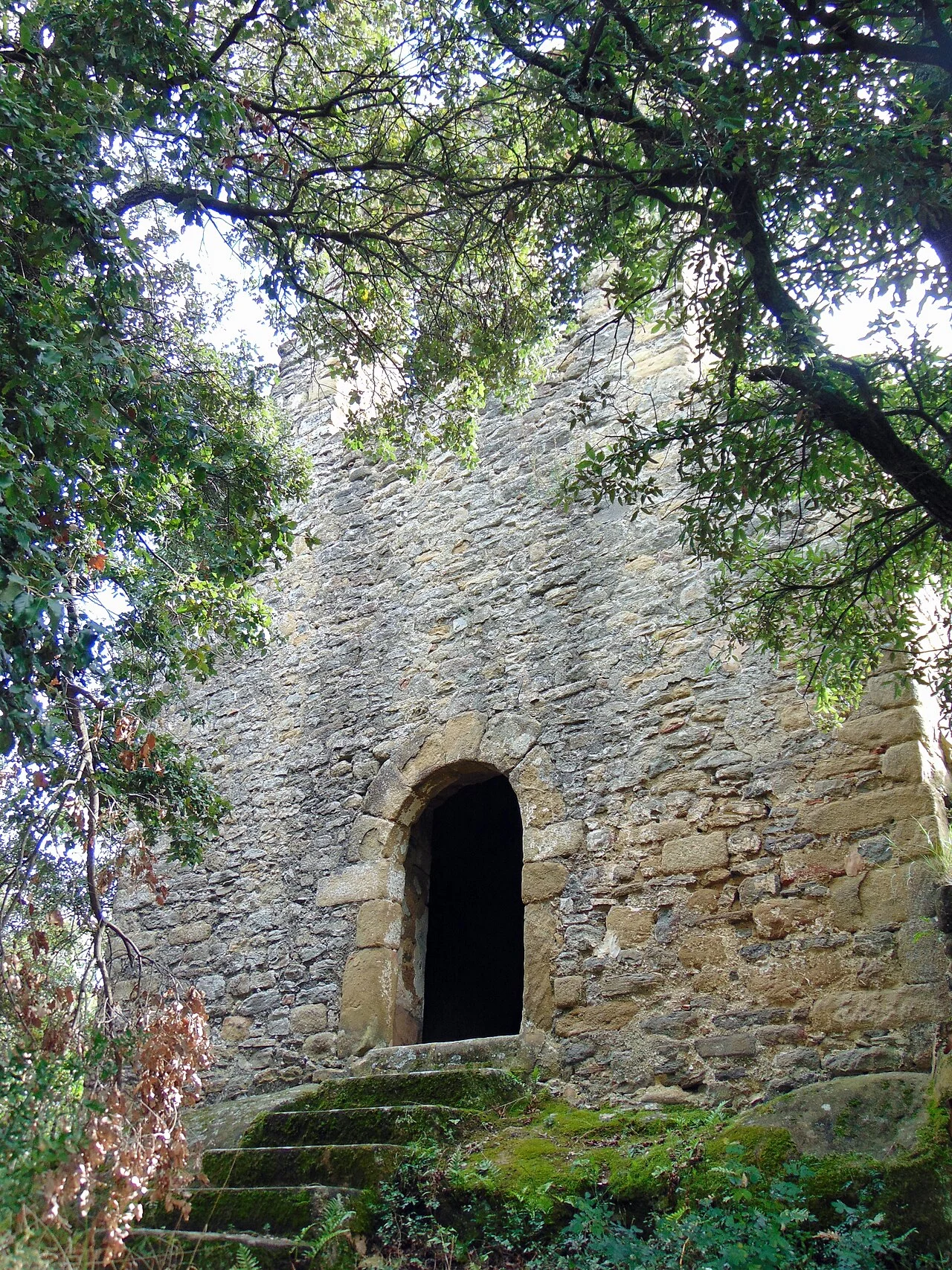 Photo of Sant Aniol de Finestres