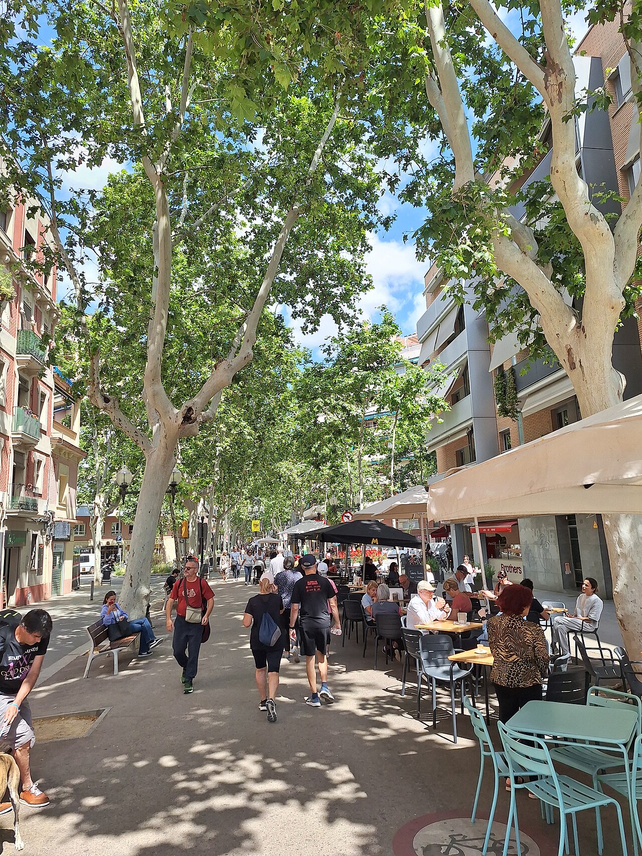 Rambla del Poblenou
