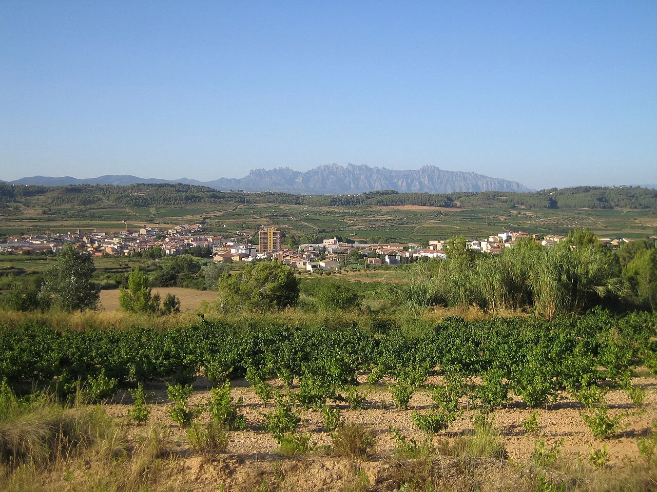 Photo of Sant Pere de Riudebitlles
