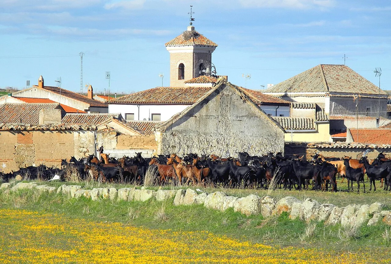 Photo of Santa Ana de Pusa