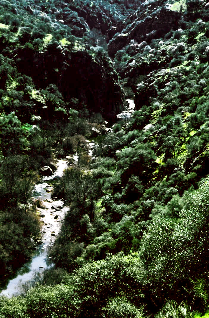 Photo of Santa Ana de Pusa