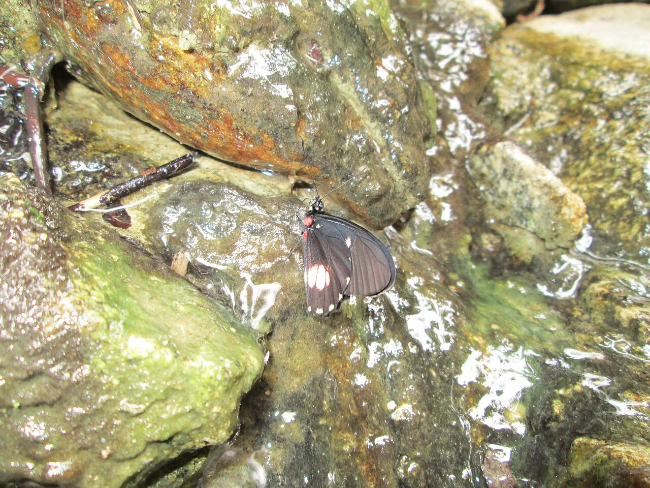 Photo of Santa Apolonia