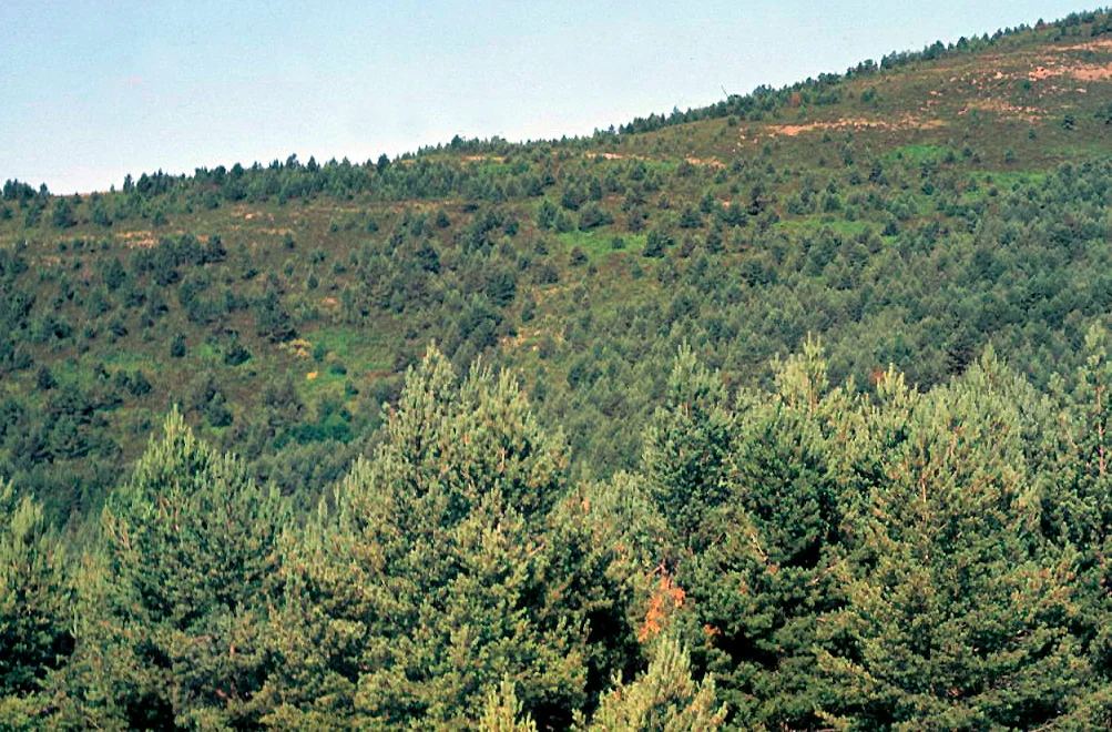 Photo of Santa Cruz de Yanguas