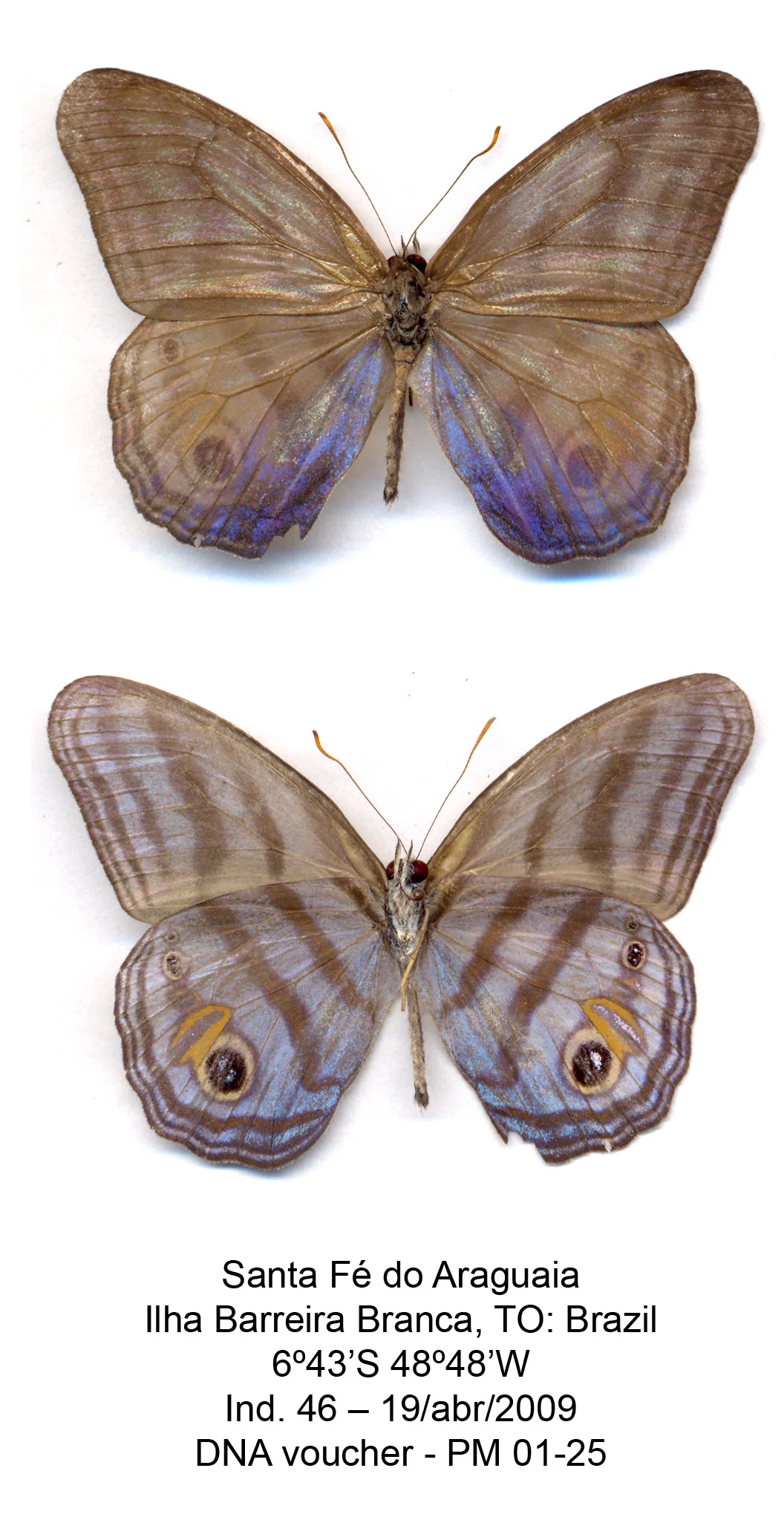 Photo of Santa Fé do Araguaia