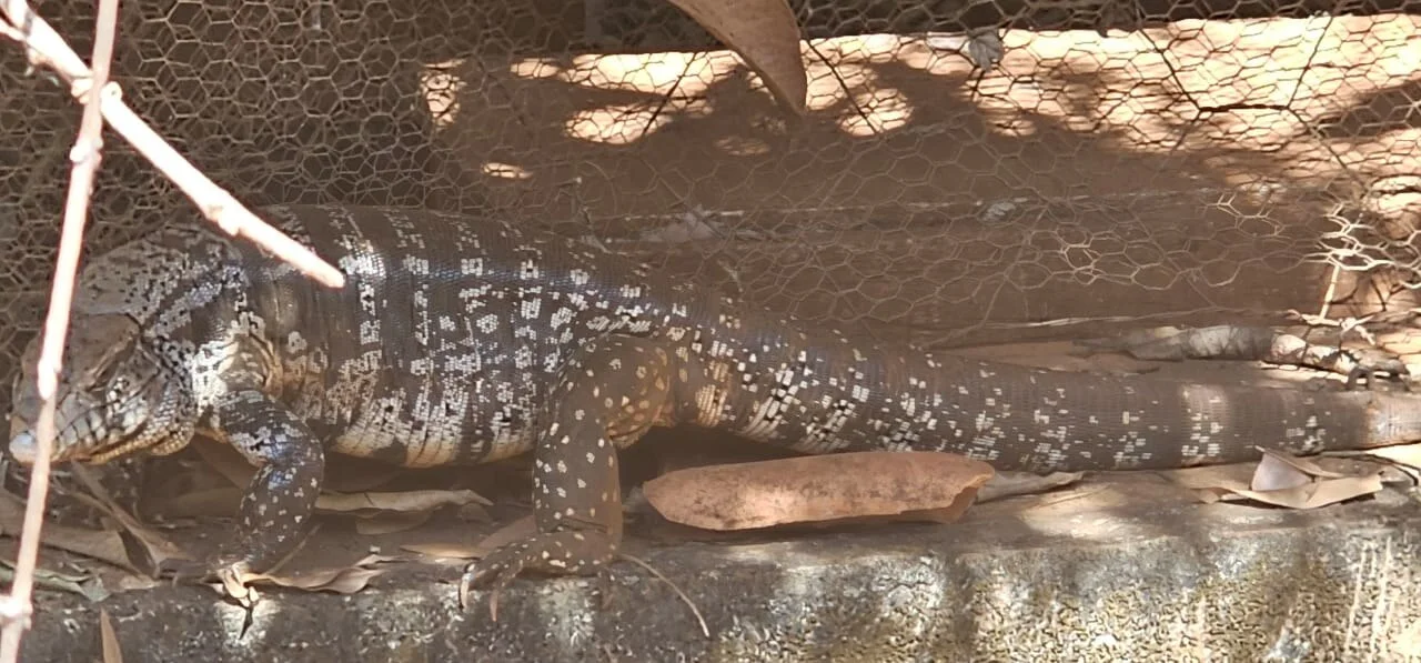 Photo of Santa Helena