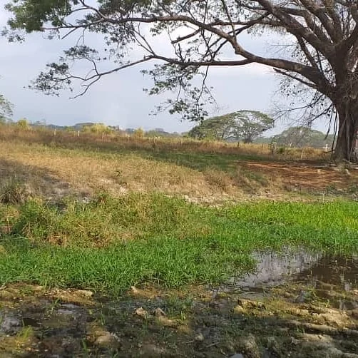 Photo of Santa Isabel