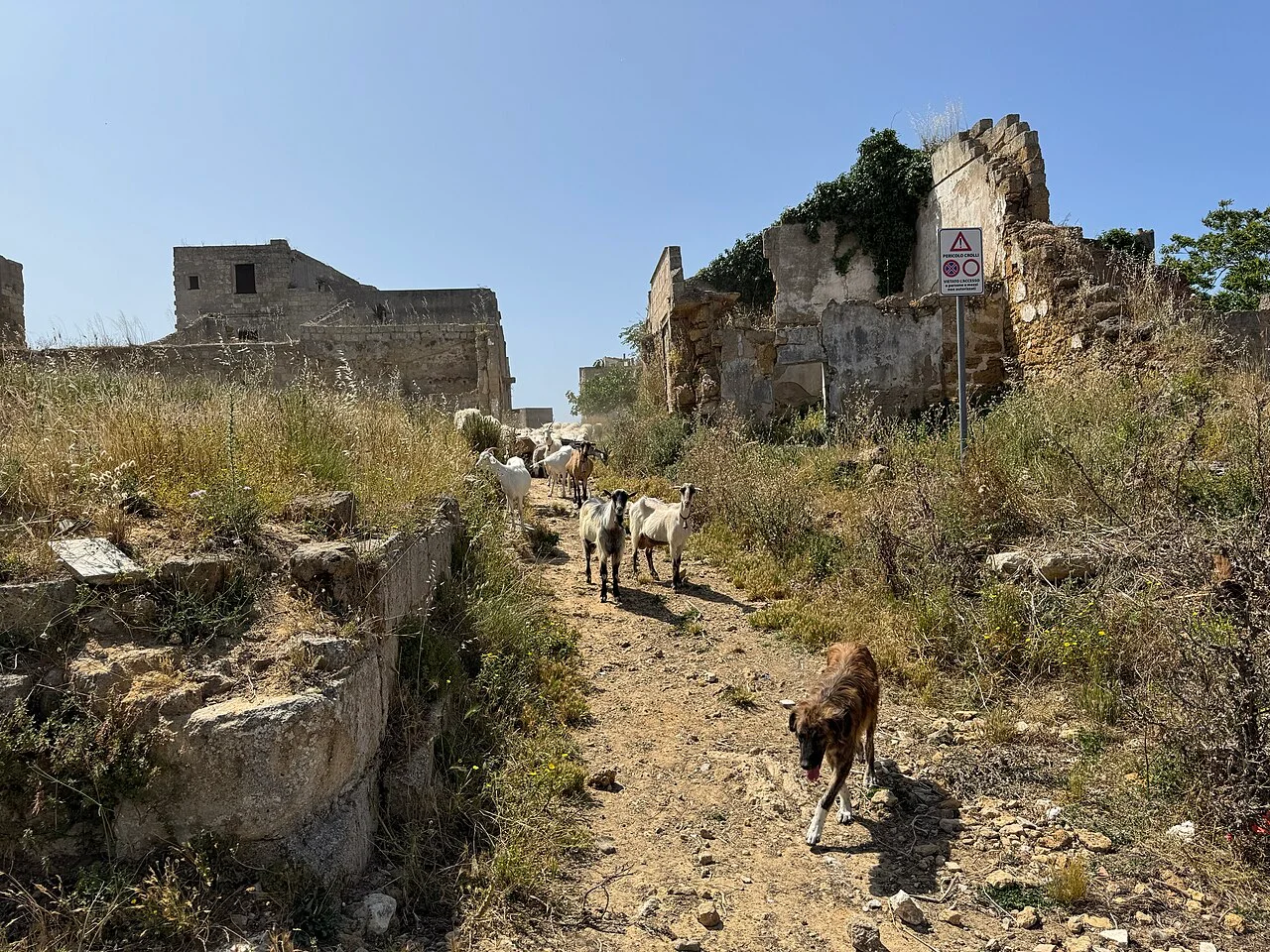 Photo of Santa Margherita di Belice